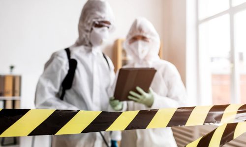 Coastal Westside Mold Exposure in Rentals: Marine Layer Moisture, Hidden Growth, and Legal Options (Santa Monica / Venice / Marina del Rey)